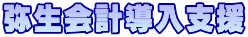 弥生会計導入支援